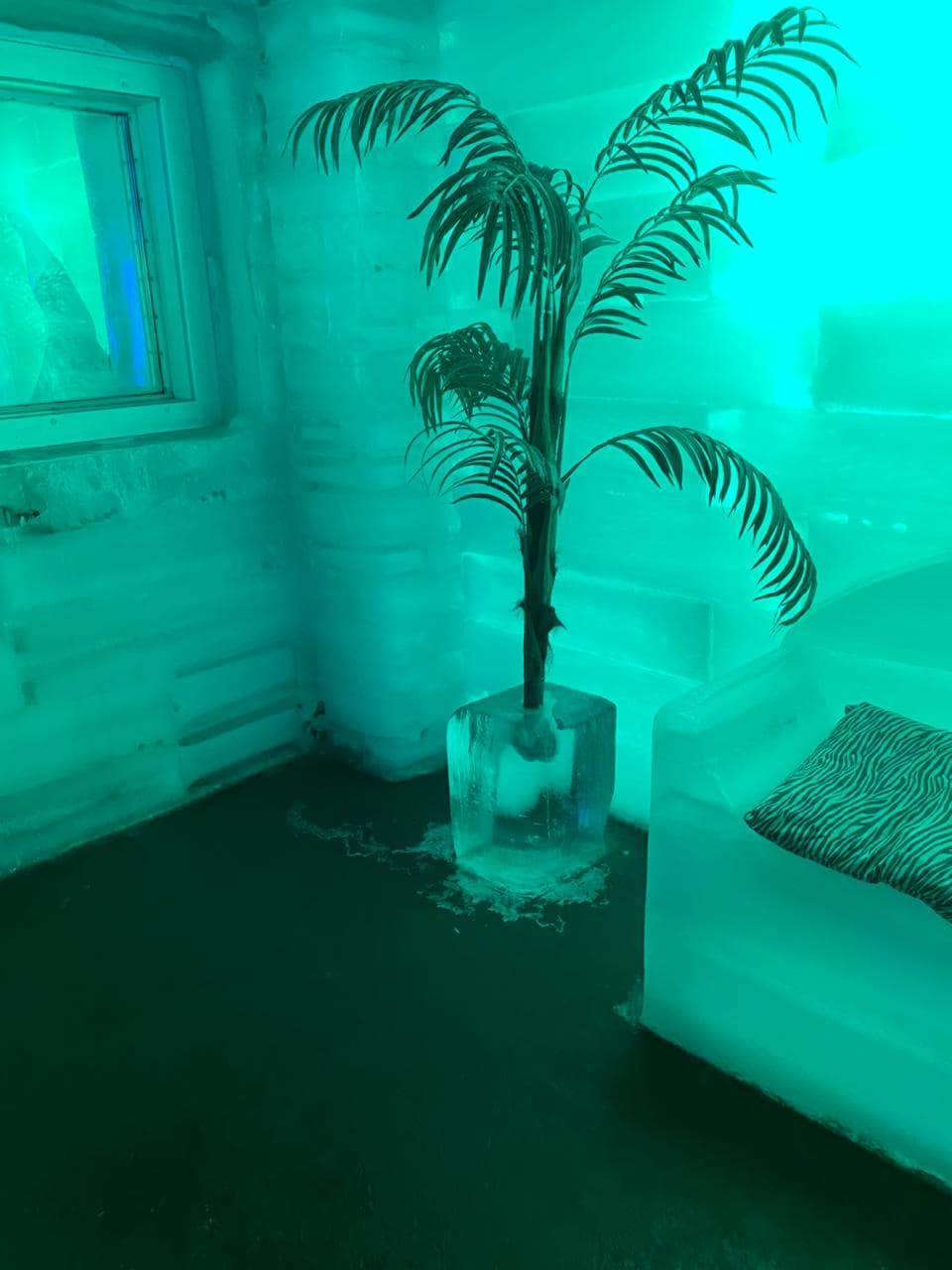 Vaso de gelo com planta no dream’s ice bar
