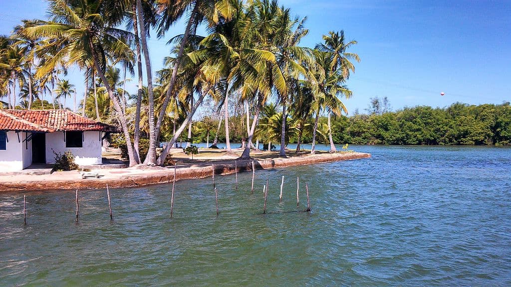 A lagoa mundaú é um lugar perfeito para prática de esportes aquáticos e passeios de barco.