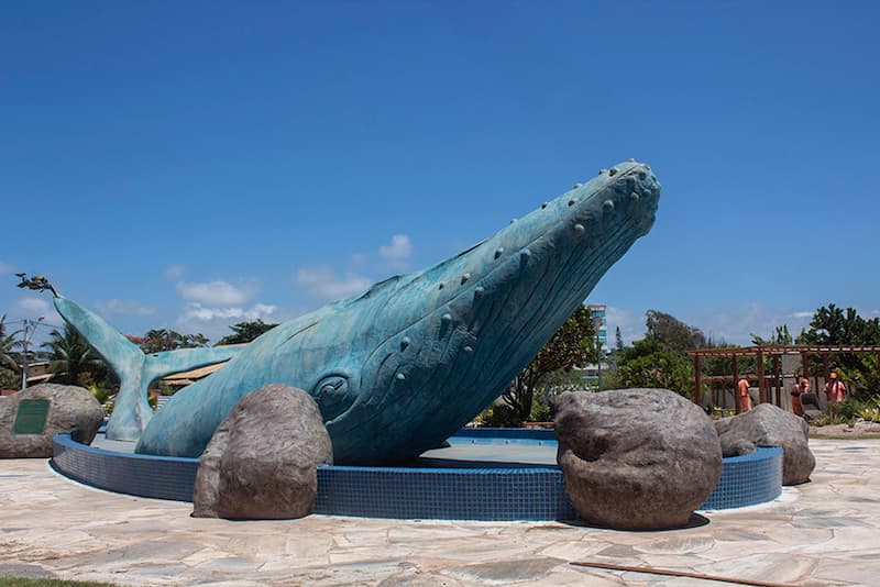 Praça da baleia