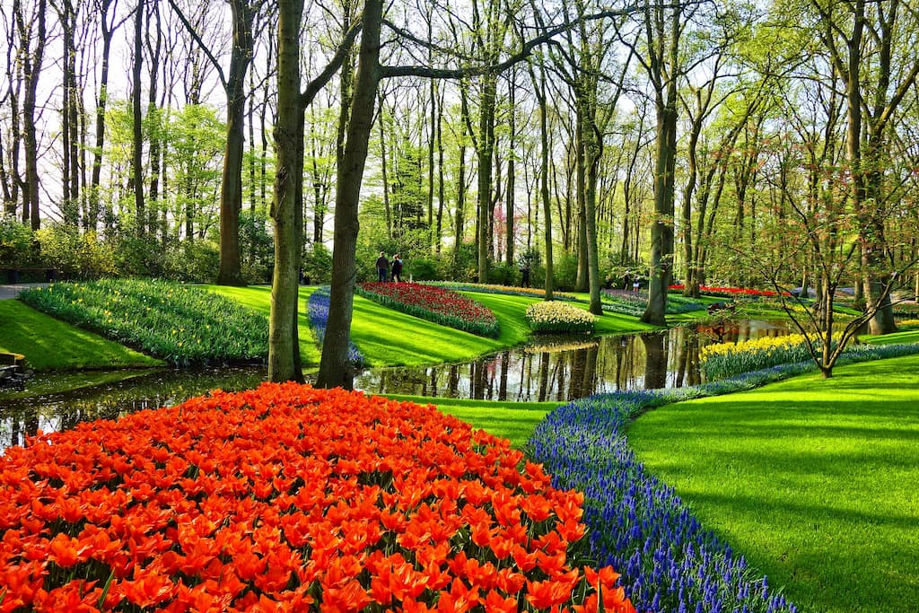 O mundial jardim de tulipas: keukenhof | pontos turísticos de amsterdam