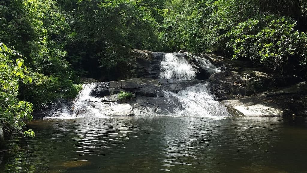 14265 Cachoeira Do Paqueta 1