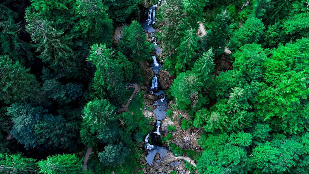 12385 triberg waterfalls in the black forest triberg im